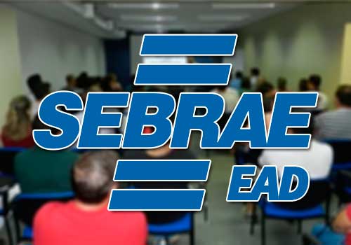SEBRAE EAD