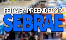 Feira SEBRAE Empreendedor 2019