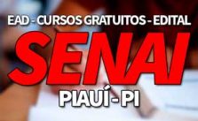 SENAI PI 2019