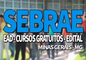 SEBRAE MG 2019