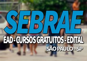 SEBRAE SP 2019