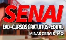 SENAI MG 2019