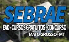 SEBRAE MT Cursos Gratuitos 2019