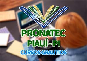 PRONATEC PI 2019