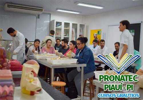 PRONATEC PI 2019