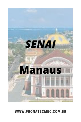 SENAI Manaus 2021